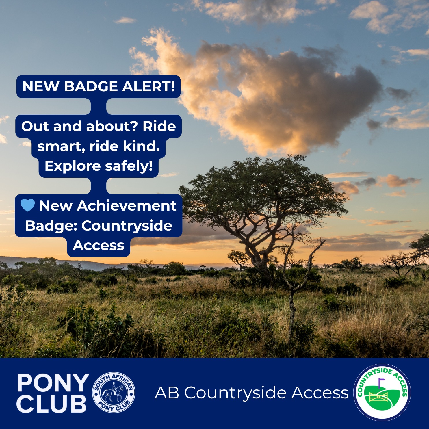 Pony Club Badge AB Countryside Access