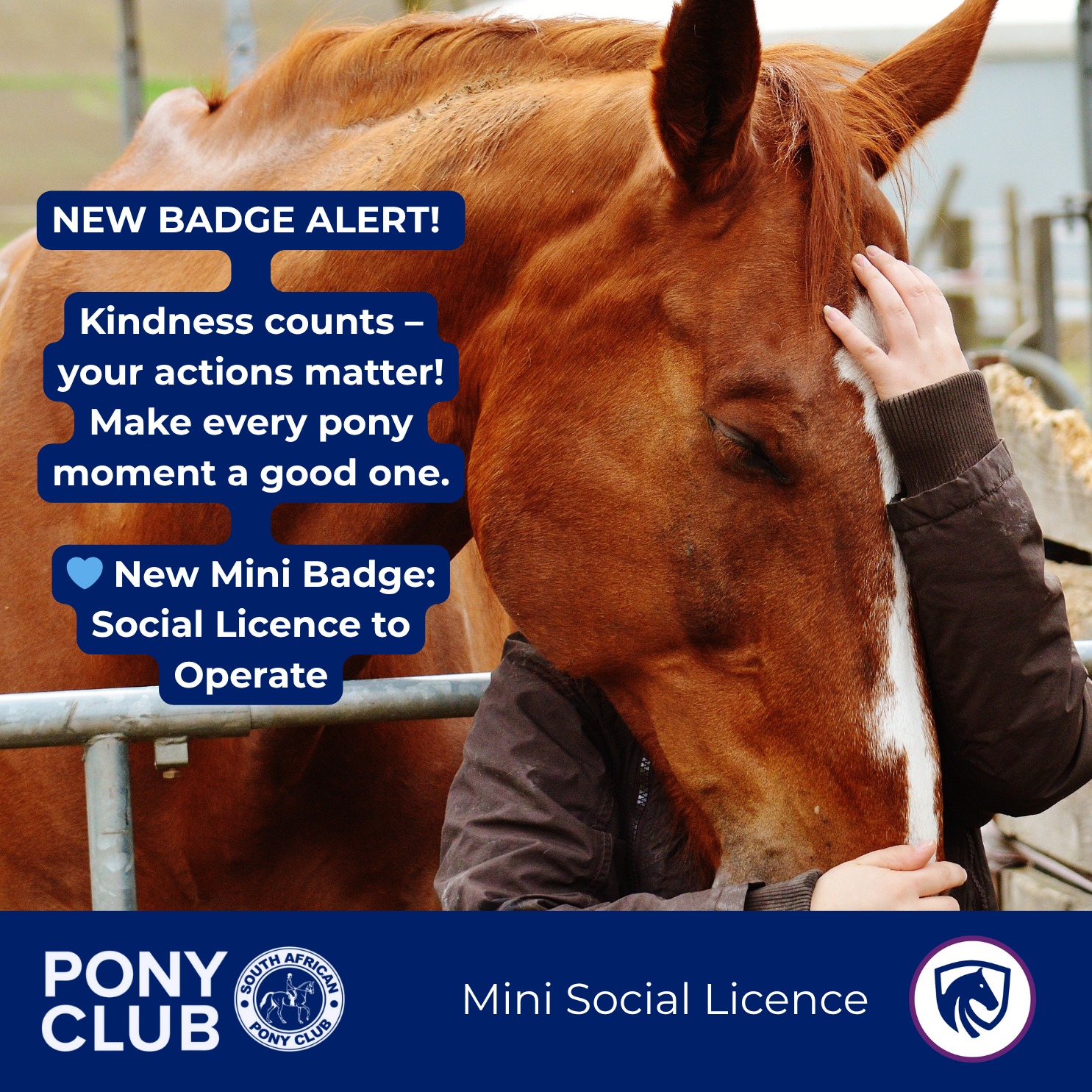 Pony Club Badge Mini Social Licence