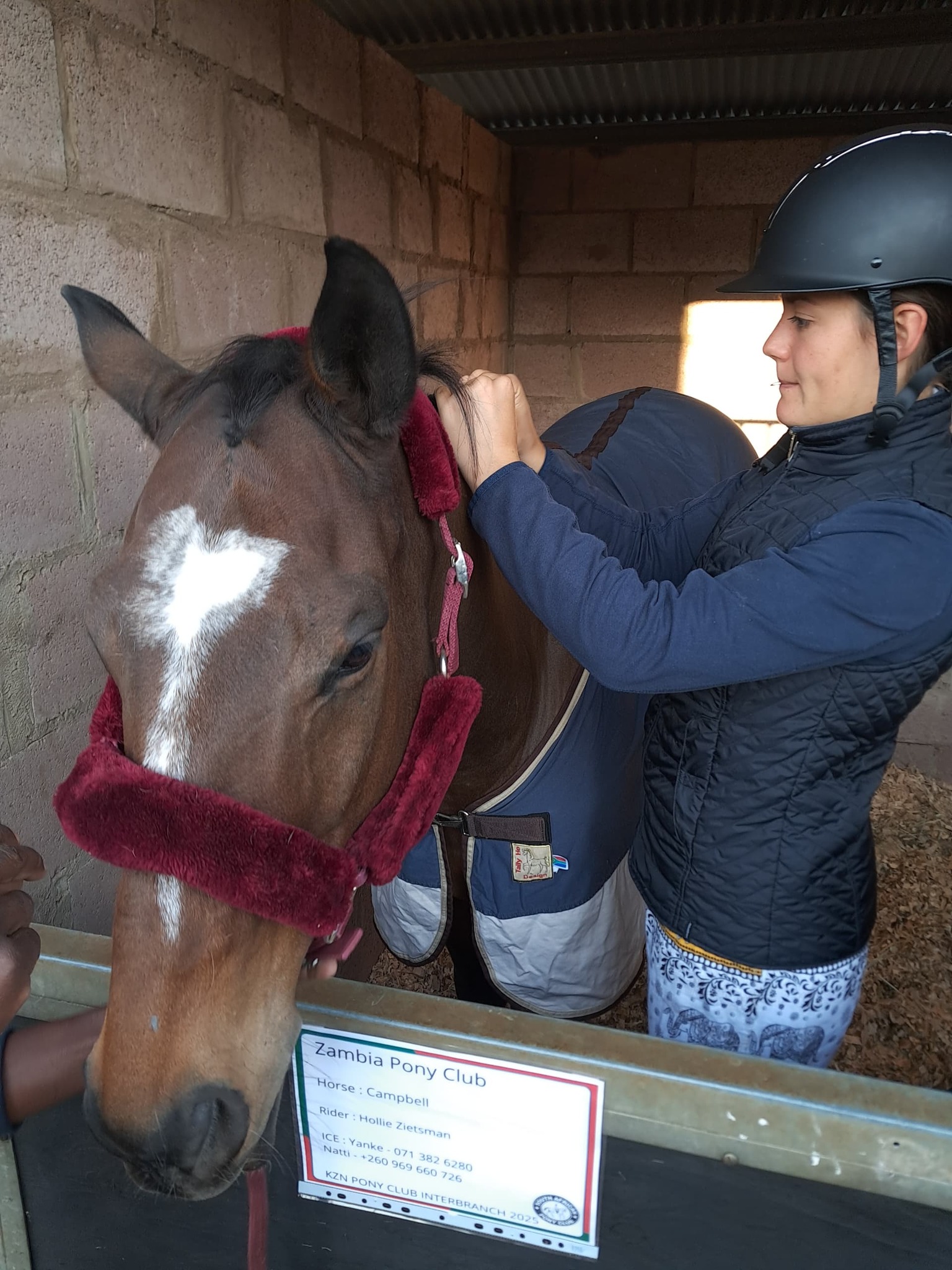 Pony Club Skills Development Care