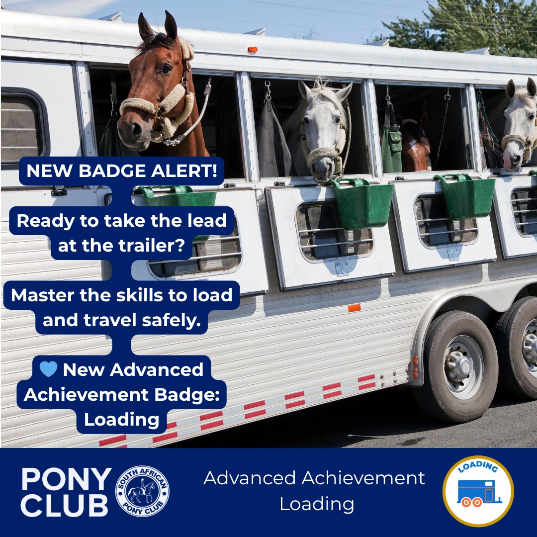 Pony Club Skills Development Loading