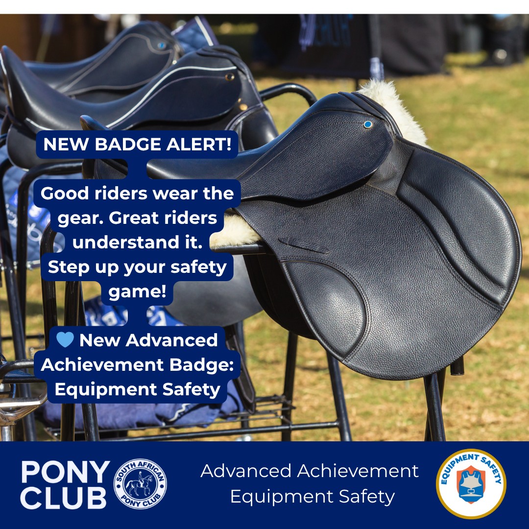 Pony Club Skills Development Safety