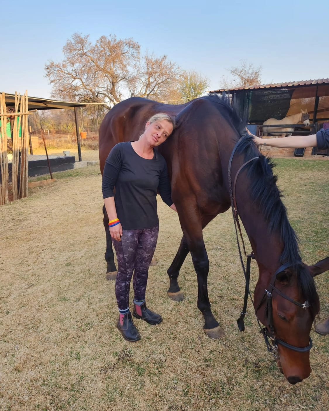 TLC Equi School Horse Love